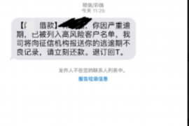 鹰子要账：揭秘债务催收那些事儿
