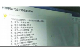 定安清数公司排名前十名：揭秘行业翘楚，助力企业决策