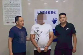 银行贷款催收报道：揭秘催收现状与应对策略