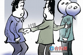 催收人员法院出庭：揭秘法律程序中的催收挑战