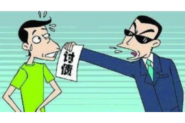 催收社保信息：保障权益，合规操作