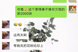 /img/2064.png/img/2064.png天才六胞胎讨债叶心白：一场别开生面的债务纠纷/img/2064.png