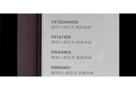 催收上门要我准备材料：应对技巧全解析