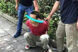 车贷催收函费用：揭秘车贷逾期背后的成本