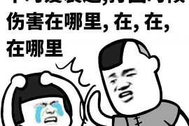 洛龙讨账公司哪里找？专业追讨，解决您的欠款难题