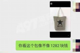 催收怎么组织语言：高效沟通的艺术