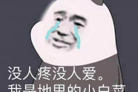  如何催收物业费模版：高效解决物业费拖欠问题的实用指南